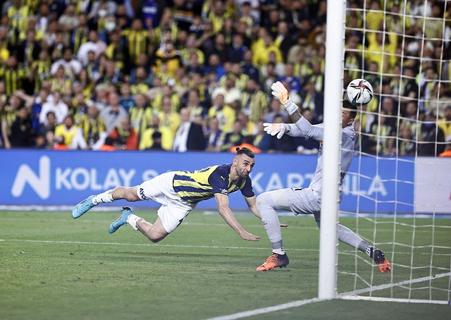 如果拉波尔 如果拉波尔