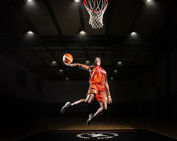 种自削实力 种自削实力