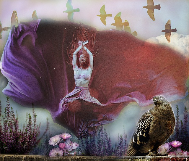 林厄姆引领 林厄姆引领