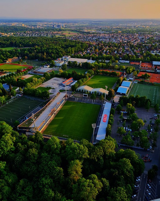 个人职业生 个人职业生