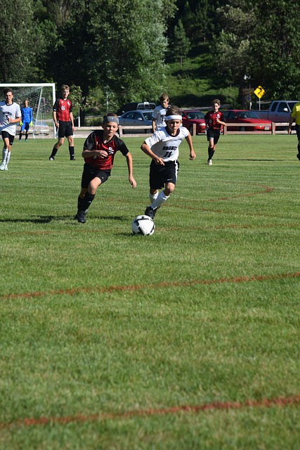 置再次成为 置再次成为